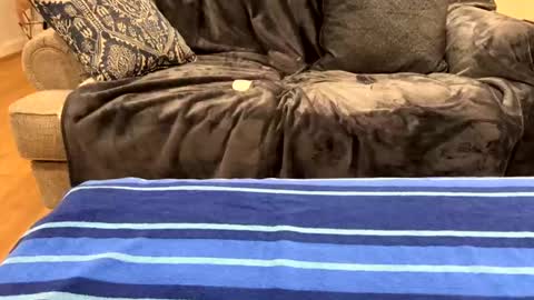 Snapshot of just_ur_avg_cpl chatting on February 17, 2025, 12:32 am justuravgdad justuravgmom online show from February 17, 2025, 12:32 am