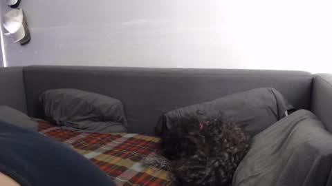 Snapshot of justasucker4u chatting on November 20, 2025, 1:44 pm justasucker4u online show from November 20, 2025, 1:44 pm