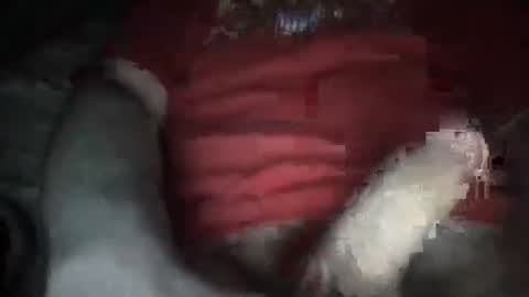 justinkinglols online show from October 5, 2025, 7:23 pm