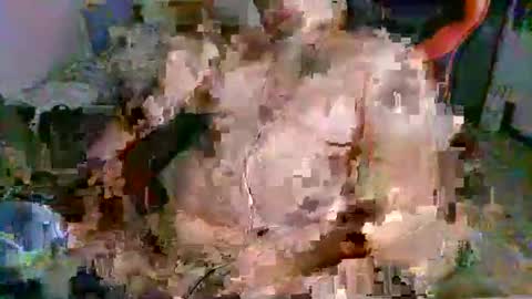 juteja online show from September 13, 2025, 10:20 pm