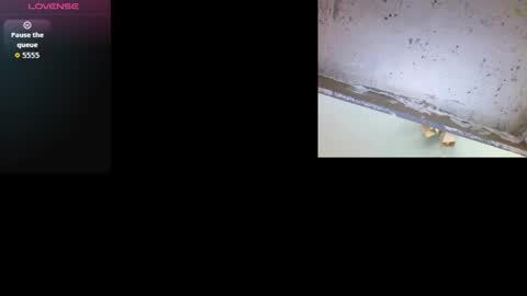 k36620146 online show from March 3, 2026, 9:48 am