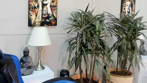 kai_storn online show from May 20, 2026, 10:54 am