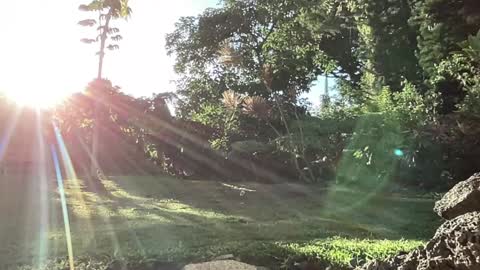 Kailee Smile online show from September 10, 2025, 3:28 am