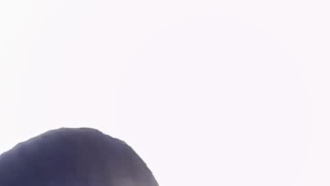 Help me with rate thanks  online show from November 22, 2025, 6:29 pm