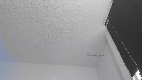 Snapshot of katestone_again chatting on November 12, 2025, 5:02 pm love meeee online show from November 12, 2025, 5:02 pm