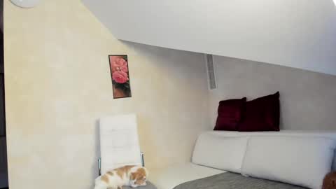 Kathy online show from January 21, 2025, 8:08 am