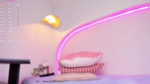 Katy  IGPeach kat666 online show from January 22, 2025, 3:40 pm