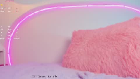 Katy  IGPeach kat666 online show from January 23, 2025, 4:37 pm