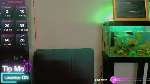 KATY online show from February 20, 2025, 5:55 am