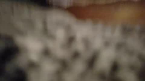 kawaiibabypie online show from May 7, 2026, 8:31 am
