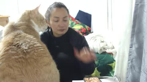  Khawit  online show from January 15, 2026, 4:17 am