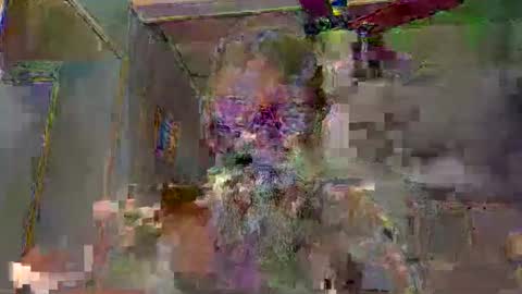 kcbace61760 online show from January 20, 2025, 10:51 am