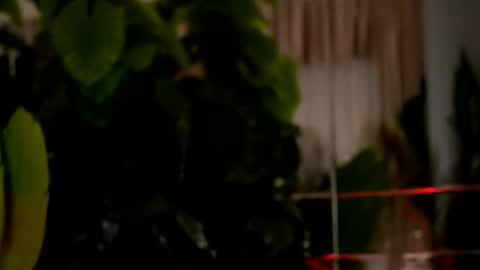 Denise online show from March 29, 2026, 2:22 am