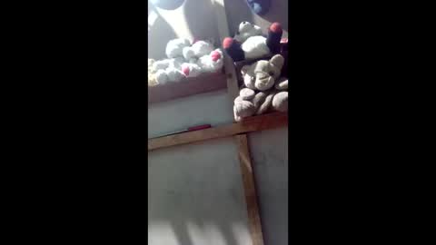 kevin_07279101 online show from March 4, 2026, 4:40 am