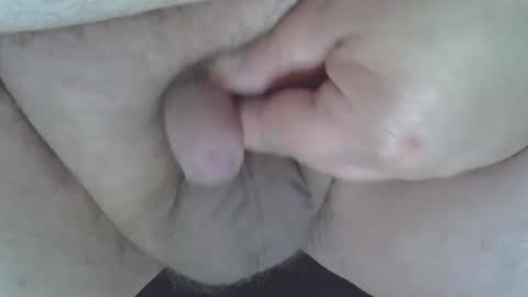 maggot online show from January 4, 2025, 8:17 am