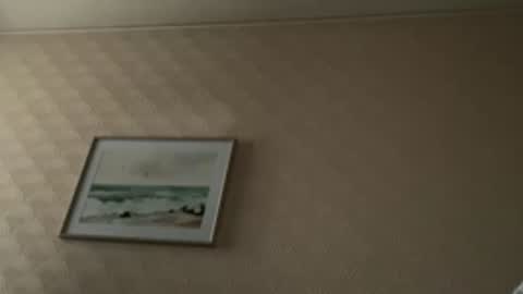 khelt online show from February 6, 2026, 1:47 pm