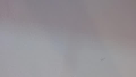 Snapshot of kiitty_horny_ chatting on September 30, 2025, 12:54 pm Melody online show from September 30, 2025, 12:54 pm