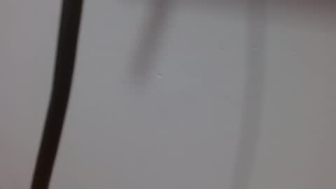 Snapshot of kiitty_horny_ chatting on October 3, 2025, 12:02 pm Melody online show from October 3, 2025, 12:02 pm