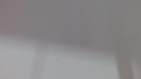 Snapshot of kiitty_horny_ chatting on October 11, 2025, 12:04 pm Melody online show from October 11, 2025, 12:04 pm