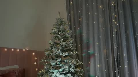 Kim Oberlin online show from December 30, 2024, 5:34 pm