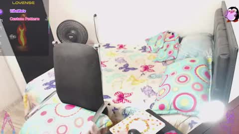 Anita. online show from January 31, 2025, 2:26 am