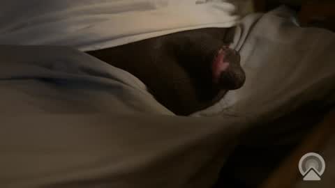 Snapshot of king_cocklear chatting on April 9, 2026, 6:35 pm AsYouLikeCock online show from April 9, 2026, 6:35 pm