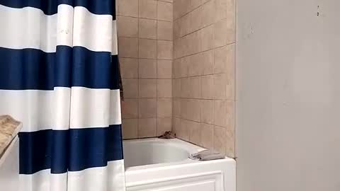 Snapshot of kingdongkonglong chatting on January 21, 2025, 5:05 am kingdongkonglong online show from January 21, 2025, 5:05 am