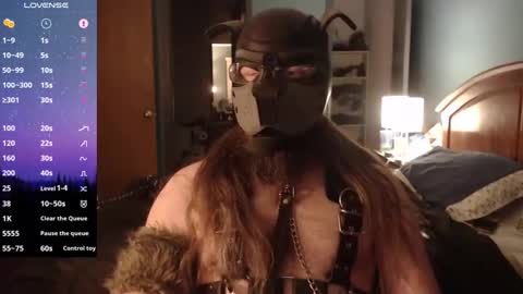 kinkywolf87 online show from December 31, 2024, 7:10 am