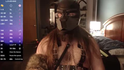 kinkywolf87 online show from December 31, 2024, 8:12 pm