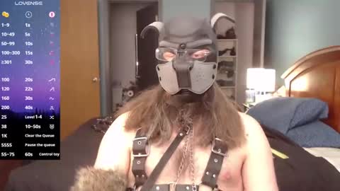 kinkywolf87 online show from February 10, 2025, 6:24 pm