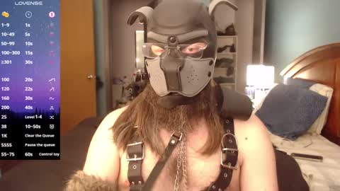 kinkywolf87 online show from February 25, 2025, 10:18 pm