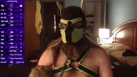 kinkywolf87 online show from October 16, 2025, 5:08 am