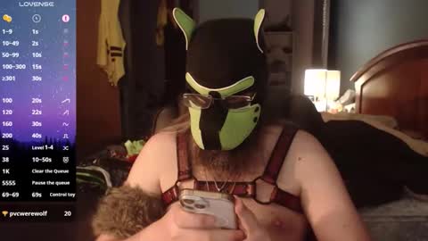 Snapshot of kinkywolf87 chatting on June 9, 2026, 11:49 pm kinkywolf87 online show from June 9, 2026, 11:49 pm