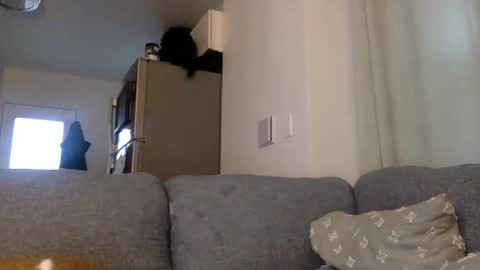 kinnkybwc online show from March 29, 2026, 11:16 pm