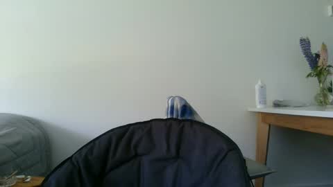 Snapshot of kitosssss chatting on December 11, 2024, 3:37 pm Steve Cocks online show from December 11, 2024, 3:37 pm