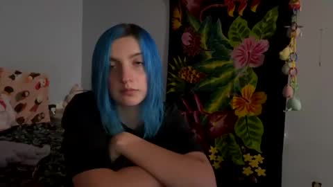 Snapshot of kitten4sale666 chatting on December 6, 2024, 7:54 am Kitty online show from December 6, 2024, 7:54 am