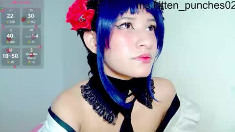 kitten_punches02 online show from November 30, 2025, 2:54 pm