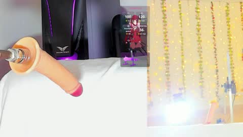 Kitty online show from April 11, 2026, 10:08 am