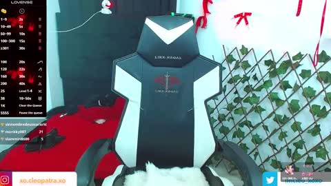 Snapshot of kitty_vaal chatting on February 13, 2025, 8:06 am kitty_vaal online show from February 13, 2025, 8:06 am