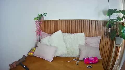 K I T T Y   online show from February 4, 2026, 8:14 pm