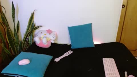 Snapshot of kittycatw chatting on February 11, 2026, 7:02 am LAURA help me reach 100likes online show from February 11, 2026, 7:02 am