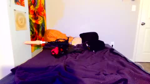 babygirlkitty online show from October 11, 2025, 8:13 am