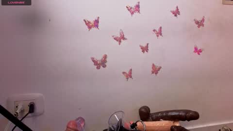 Snapshot of kittyroses chatting on January 17, 2026, 12:59 am Kitty online show from January 17, 2026, 12:59 am