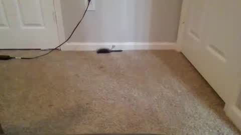 kkristy07 online show from February 21, 2026, 2:56 am