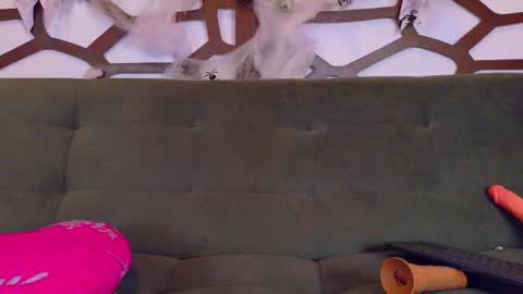 kloe_bella online show from October 27, 2025, 3:38 pm