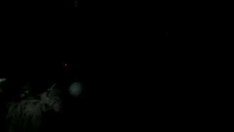 knight_rider118 online show from March 11, 2025, 9:24 am