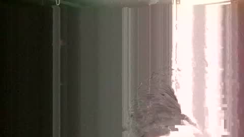 knock2wice1975 online show from January 26, 2025, 12:33 pm