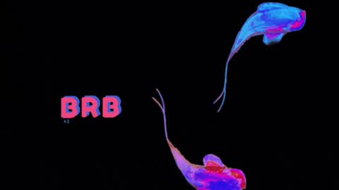 knowlita  online show from March 6, 2026, 8:27 pm