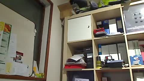 kokin3034 online show from January 8, 2025, 1:20 pm