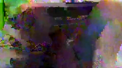 kylevogt2024 online show from April 14, 2026, 3:56 am